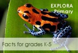 Explora Primary Facts for grades K-5