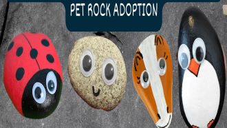 Pet Rock Adoption