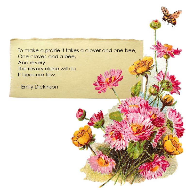 Graphic featuring painted flowers and a poem by Emily Dickinson about bees.